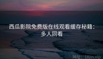 西瓜影院免费版在线观看缓存秘籍：多人同看