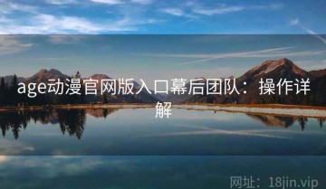 age动漫官网版入口幕后团队：操作详解