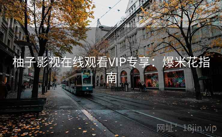 柚子影视在线观看VIP专享:爆米花指南 柚子影视在线观看VIP专享:爆米花指南